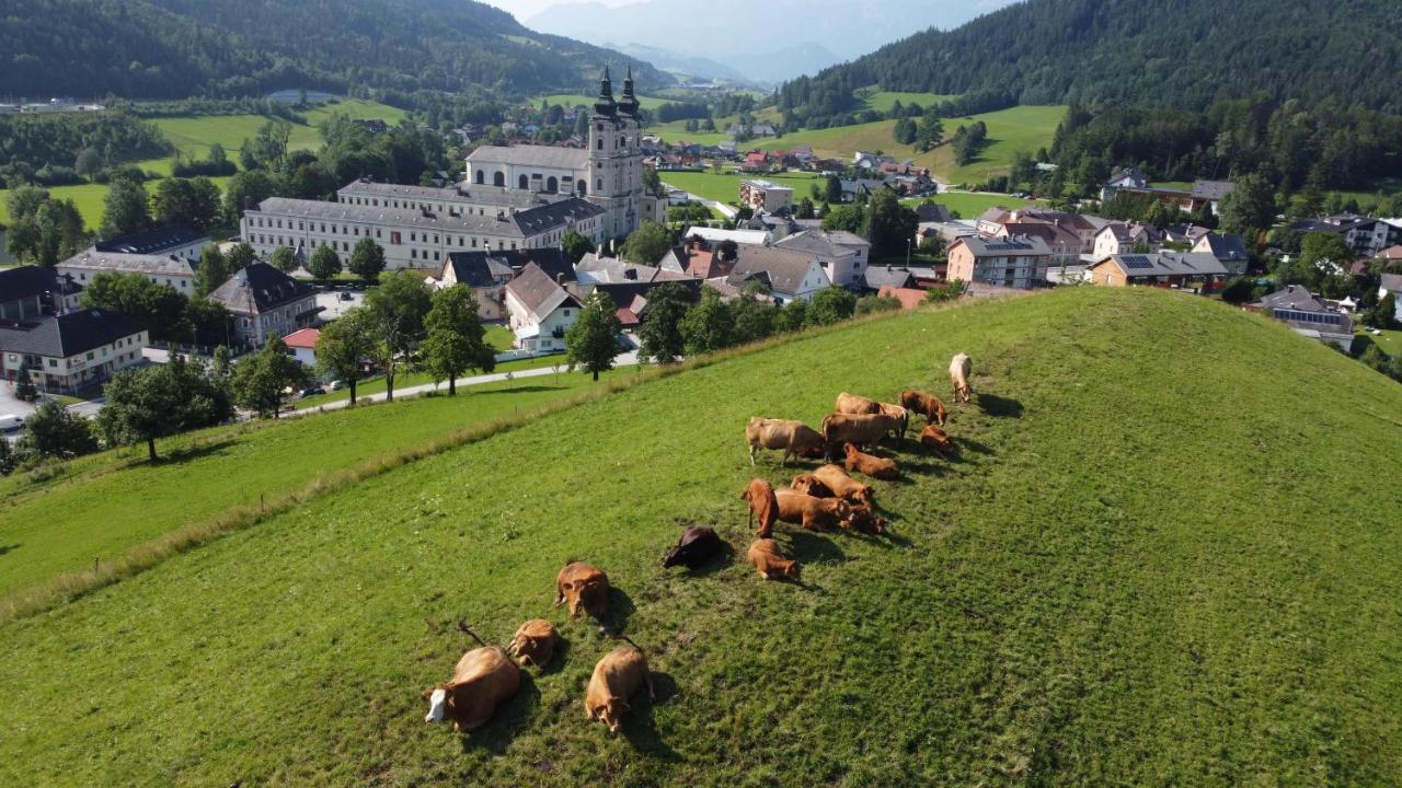 Ferienhof Pacher Spital Am Pyhrn Exteriér fotografie
