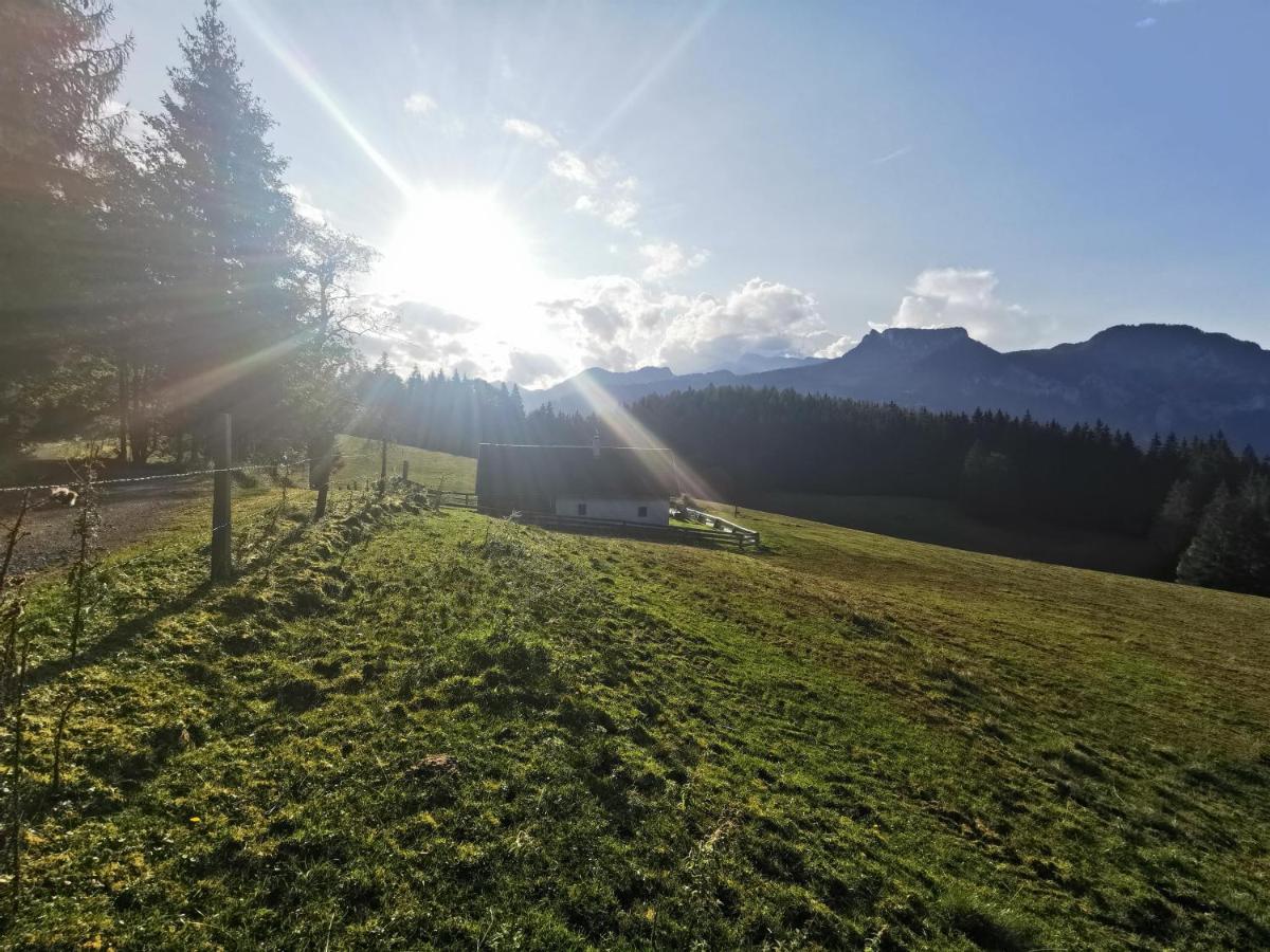Ferienhof Pacher Spital Am Pyhrn Exteriér fotografie